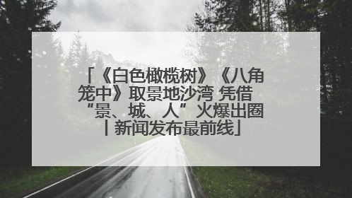 《白色橄榄树》《八角笼中》取景地沙湾 凭借“景、城、人”火爆出圈丨新闻发布最前线
