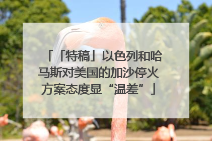 「特稿」以色列和哈马斯对美国的加沙停火方案态度显“温差”