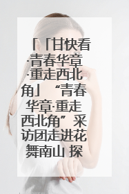 「甘快看·青春华章·重走西北角」“青春华章·重走西北角”采访团走进花舞南山 探寻天水乡村振兴之路