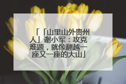 「山里山外贵州人」谢小军：攻克难题，就像翻越一座又一座的大山