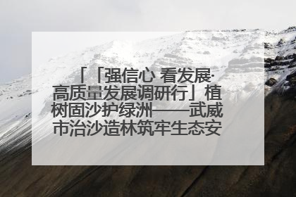 「强信心 看发展·高质量发展调研行」植树固沙护绿洲——武威市治沙造林筑牢生态安全屏障见闻