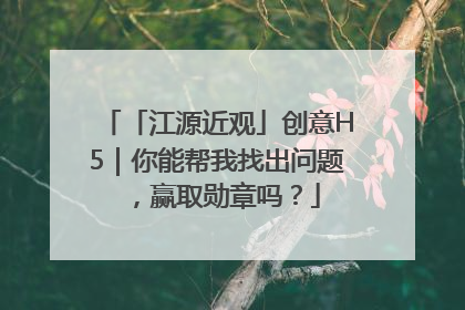 「江源近观」创意H5｜你能帮我找出问题，赢取勋章吗？