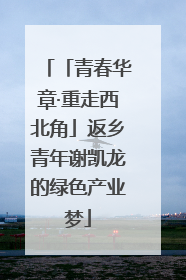 「青春华章·重走西北角」返乡青年谢凯龙的绿色产业梦