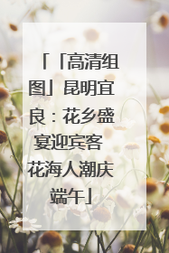 「高清组图」昆明宜良：花乡盛宴迎宾客 花海人潮庆端午
