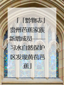 「黔物志」贵州芭蕉家族新增成员——习水自然保护区发现黄苞芭蕉