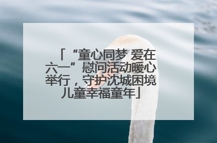 “童心同梦 爱在六一”慰问活动暖心举行，守护沈城困境儿童幸福童年