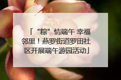 “粽”情端午 幸福邻里！燕罗街道罗田社区开展端午游园活动