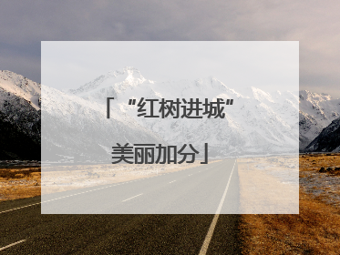 “红树进城” 美丽加分