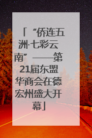 “侨连五洲·七彩云南”——第21届东盟华商会在德宏州盛大开幕