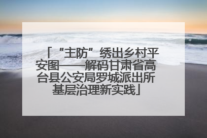 “主防”绣出乡村平安图——解码甘肃省高台县公安局罗城派出所基层治理新实践