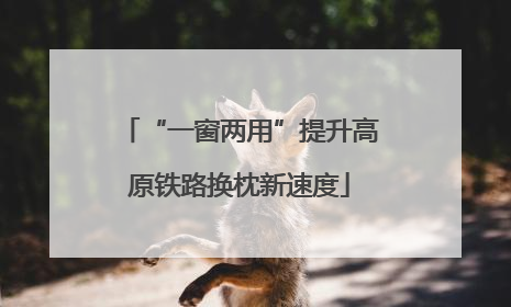 “一窗两用”提升高原铁路换枕新速度