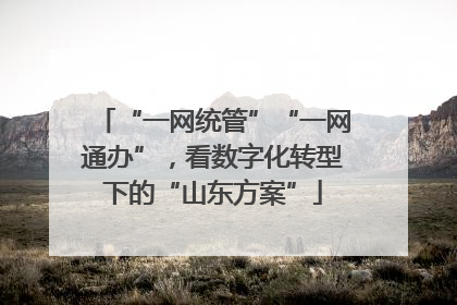 “一网统管”“一网通办”，看数字化转型下的“山东方案”