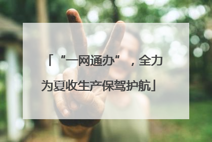 “一网通办”，全力为夏收生产保驾护航