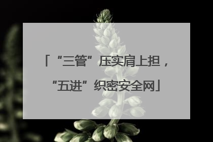 “三管”压实肩上担，“五进”织密安全网