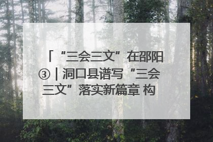 “三会三文”在邵阳③｜洞口县谱写“三会三文”落实新篇章 构建协同联动大格局