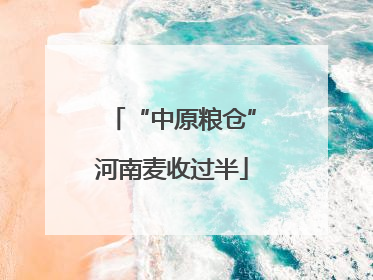 “中原粮仓”河南麦收过半