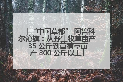 “中国草都” 阿鲁科尔沁旗：从野生牧草亩产 35 公斤到苜蓿草亩产 800 公斤以上
