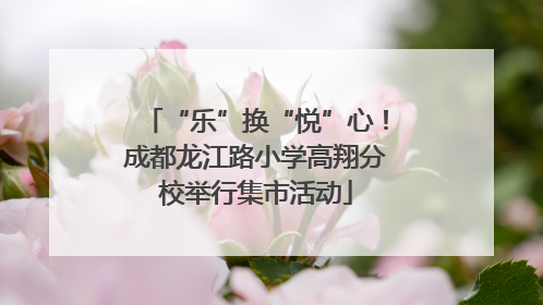 “乐”换“悦”心！成都龙江路小学高翔分校举行集市活动