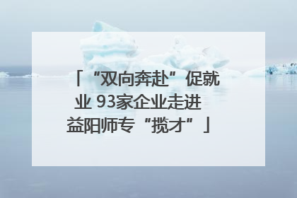 “双向奔赴”促就业 93家企业走进益阳师专“揽才”