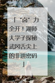 “卤”力全开！湖师大学子探秘武冈舌尖上的非遗密码