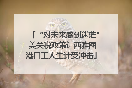“对未来感到迷茫” 美关税政策让西雅图港口工人生计受冲击