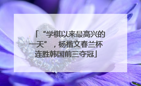 “学棋以来最高兴的一天”，杨楷文春兰杯连胜韩国前三夺冠