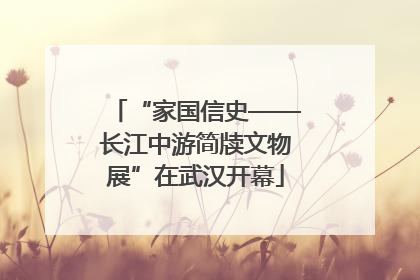 “家国信史——长江中游简牍文物展”在武汉开幕