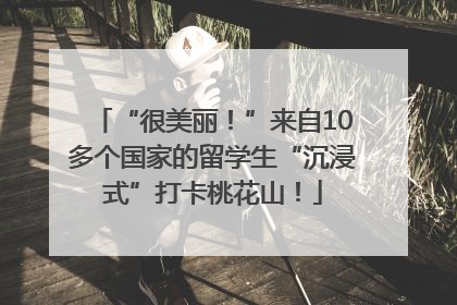 “很美丽！”来自10多个国家的留学生“沉浸式”打卡桃花山！