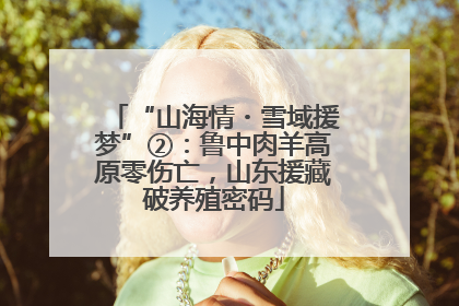 “山海情・雪域援梦”②：鲁中肉羊高原零伤亡，山东援藏破养殖密码
