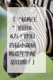 “杨梅王”拍出6.6万！建阳首届小湖杨梅嘉年华酸甜出圈！