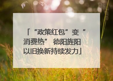 “政策红包”变“消费热” 德阳旌阳以旧换新持续发力