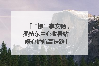 “棕”享安畅，桑植东中心收费站暖心护航高速路