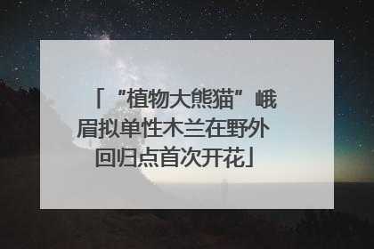 “植物大熊猫”峨眉拟单性木兰在野外回归点首次开花