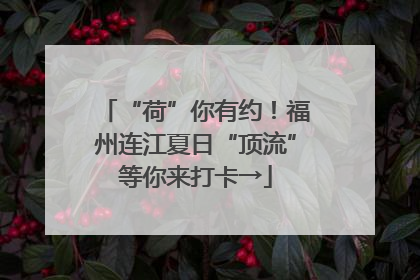 “荷”你有约！福州连江夏日“顶流”等你来打卡→
