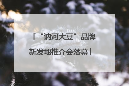 “讷河大豆”品牌新发地推介会落幕