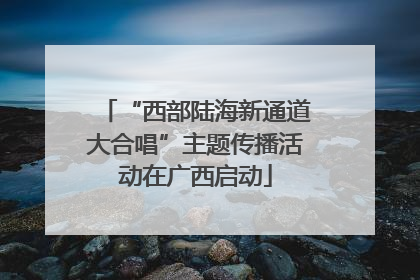 “西部陆海新通道大合唱”主题传播活动在广西启动