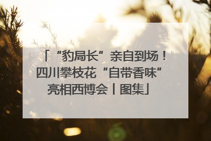“豹局长”亲自到场！四川攀枝花“自带香味”亮相西博会丨图集