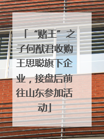 “赌王”之子何猷君收购王思聪旗下企业，接盘后前往山东参加活动