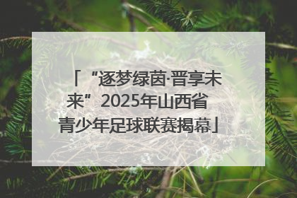 “逐梦绿茵·晋享未来”2025年山西省青少年足球联赛揭幕
