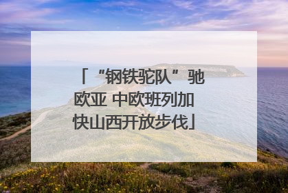 “钢铁驼队”驰欧亚 中欧班列加快山西开放步伐