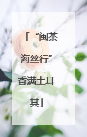 “闽茶海丝行”香满土耳其