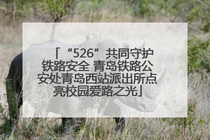 “526”共同守护铁路安全 青岛铁路公安处青岛西站派出所点亮校园爱路之光
