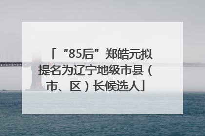 “85后”郑皓元拟提名为辽宁地级市县（市、区）长候选人