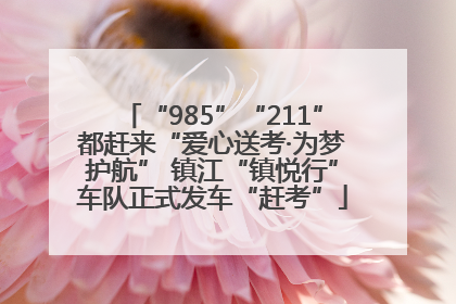“985”“211”都赶来“爱心送考·为梦护航” 镇江“镇悦行”车队正式发车“赶考”