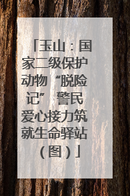 玉山：国家二级保护动物“脱险记” 警民爱心接力筑就生命驿站（图）