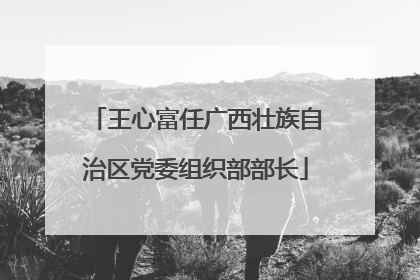 王心富任广西壮族自治区党委组织部部长
