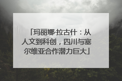 玛丽娜·拉古什：从人文到科创，四川与塞尔维亚合作潜力巨大