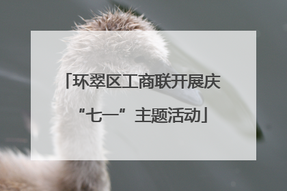 环翠区工商联开展庆“七一”主题活动