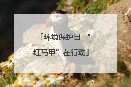 环境保护日 “红马甲”在行动