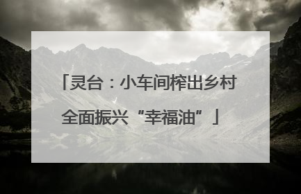 灵台：小车间榨出乡村全面振兴“幸福油”